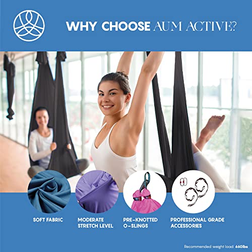 Aerial Silk Yoga Hammock & Swing for Home, Inversion Exercises, Starter Kit for All Levels - Durable with Extension Strap...