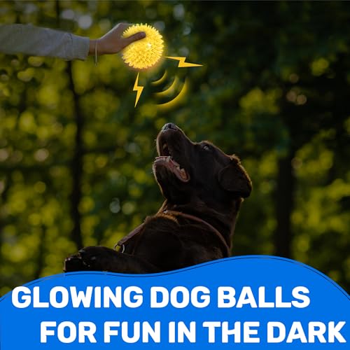 Ousiya 6 Pack 2.5" Light Up Squeaky Dog Balls, Spiky Dog Toy Balls for Puppy Small,Medium Dogs
