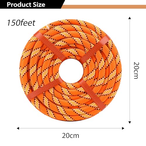 Cosirulnta 1/2 Inch Arborist Rigging Rope (150 Ft) - Orange Double Braid Polyester Tree Rope & Bull Rope, High Visibility ...