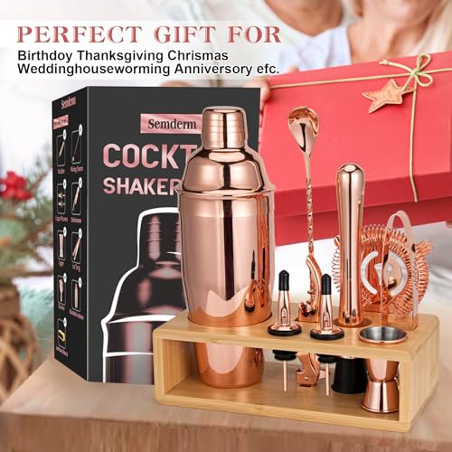 Cocktail Shaker Set, Mixology Bartender Kit 10-Piece Bar Tools Set with Stylish Bamboo Stand, Bar kit: Martini Shaker Mudd...