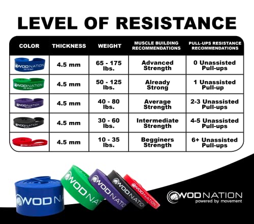 WOD Nation Pull Up Assistance Bands (10-175lbs Band) - Best for Pullup Assist, Chin Ups, Resistance Bands Exercise, Stretc...