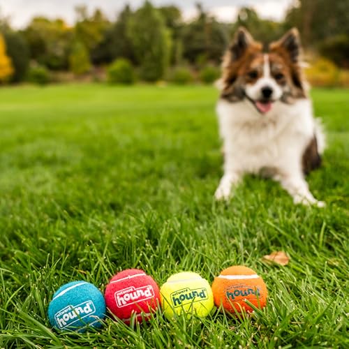 Outward Hound Squeaker Ballz – Squeaky Tennis Balls for Dogs Under 25 lbs, Interactive Dog Toy for Fetch & Training, Small...