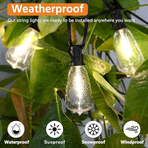 Brightever 100FT LED Outdoor String Lights with Remote, 3 Color Options, 52 ST38 Bulbs, Model CMPC-O50XA