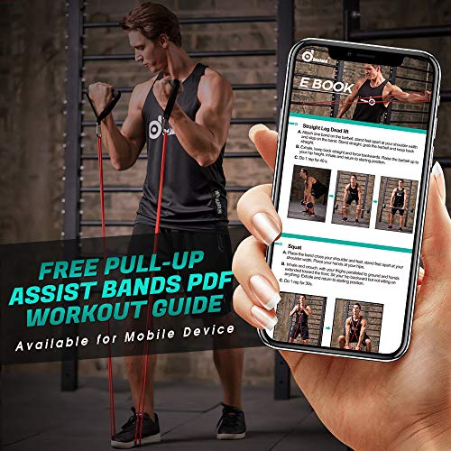 Odoland 5 Packs Pull Up Assist Bands, Pull Up Straps, Resistance Bands with Door Anchor and Handles, Stretch Mobility, Pow...
