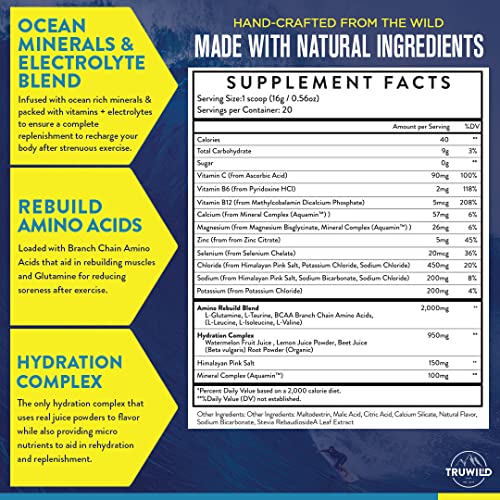TruWild Natural Hydration Powder with Zero Sugar, Vegan Electrolytes + Amino Acids, Recovery Drink for Everyday Use, Post ...
