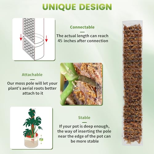 EOX 8 Pcs 24 Inch Plastic Moss Pole for Monstera, Large D Shaped Poles for Climbing Plants Work with Sphagnum Moss, Garden...