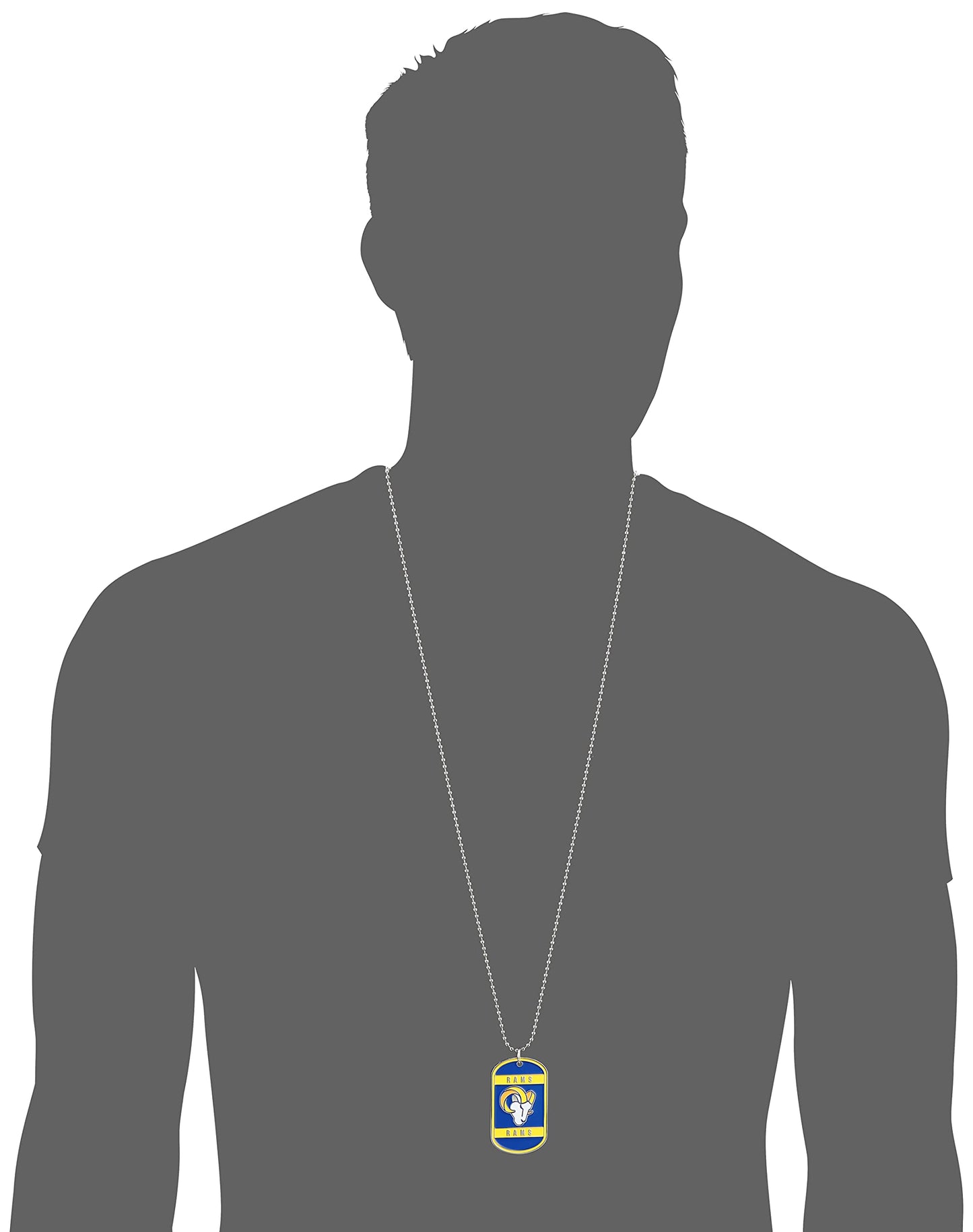 Siskiyou Sports NFL Oakland Raiders Dog Tag Necklace, 36-Inch