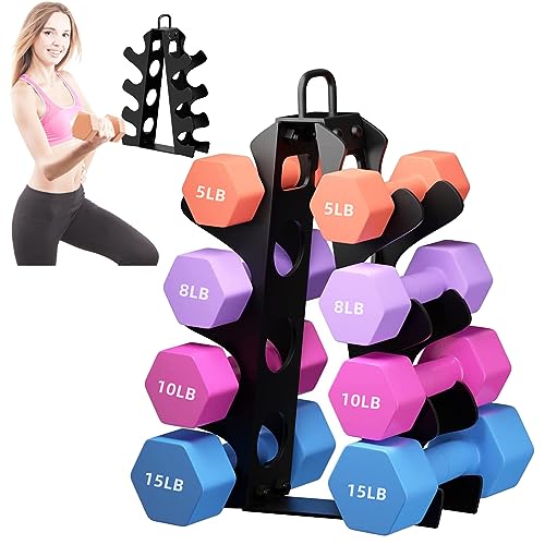 Weight Rack for Dumbbells,A-Frame Dumbbell Rack Stand Only, Alloy Steel Dumbbells Storage Rack with Handle for Home Gyms W...