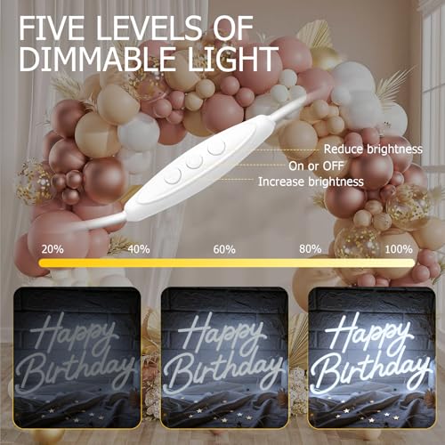 Happy Birthday Neon Sign for Wall Decor, LED Happy Birthday Light Up Sign, Dimmable Happy Birthday Neon Lights for Backdro...
