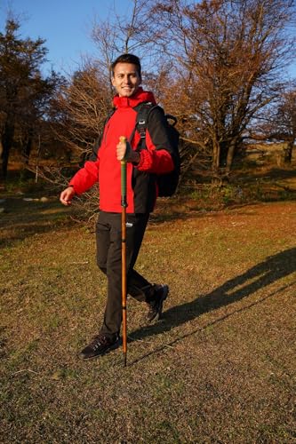 FOREST PILOT Trekking Pole - 1pc Pack Sassafras Wood Adjustable&Detachable Hiking or Walking Stick