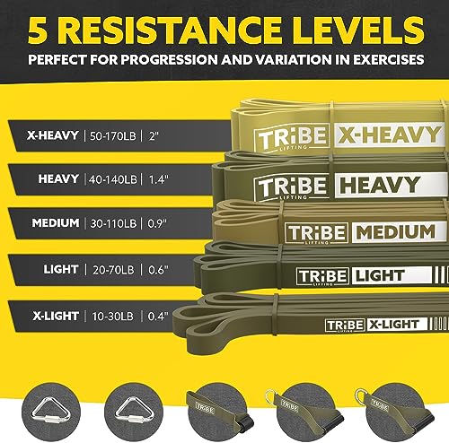 Long Resistance Bands for Working Out Men and Women - Set of 5 Pull-Up Bands, Rubber Handles and Door Anchor - Workout Ban...