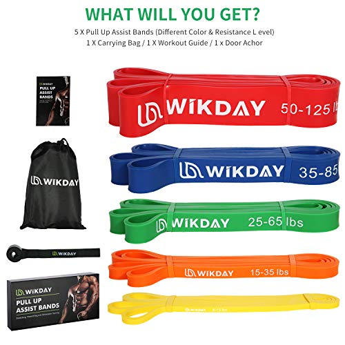 WIKDAY Resistance Bands, Pull Up Bands, Workout Bands for Exercise, Thick Heavy Resistance Band Set with Door Anchor, Elas...