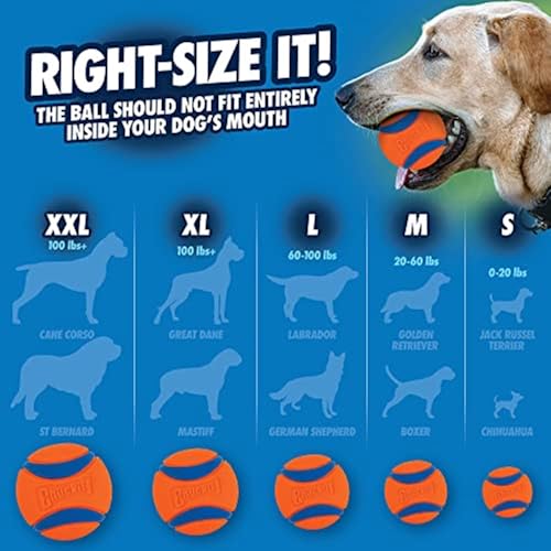 Chuckit! Ultra Ball Dog Toy with Chuckit! Cleaning Bucket, Bouncy Fetch Pet Toys For Dogs 20-60 lbs, Interactive Dog Toys,...
