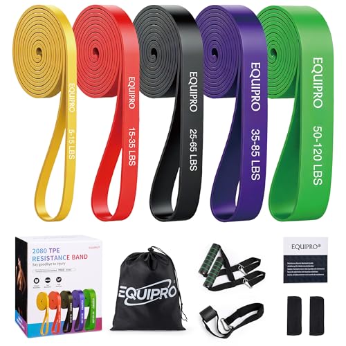 Equipro Resistance Bands, Exercise Bands, Resistance Bands for Working Out with Handles and Door Anchor, Workout Bands for...