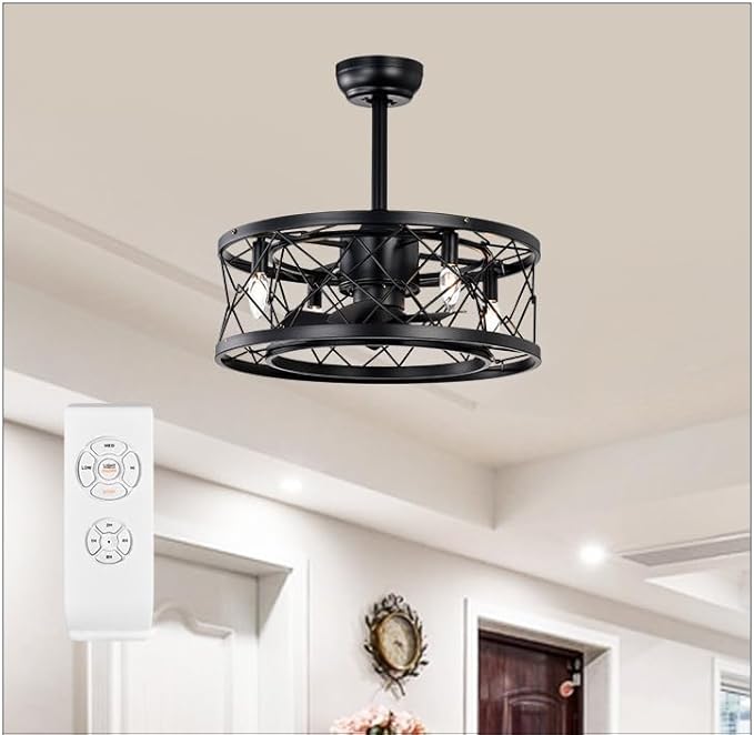 NicBex Ceiling Fan 20 Inch Indoor Modern Ceiling Fan with Lights Ceiling Fans with 5 Blades and Remote Control Small Caged Ceiling Fan for Bedroom, Living Room, Matte Black