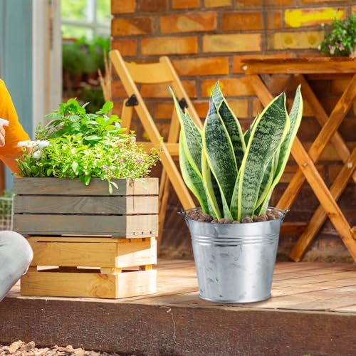 OBTANIM 8 Pack Galvanized Metal Buckets with Handle Ice Pails for Plants, Succulents, Party Favors Organizing, Rustic Home...