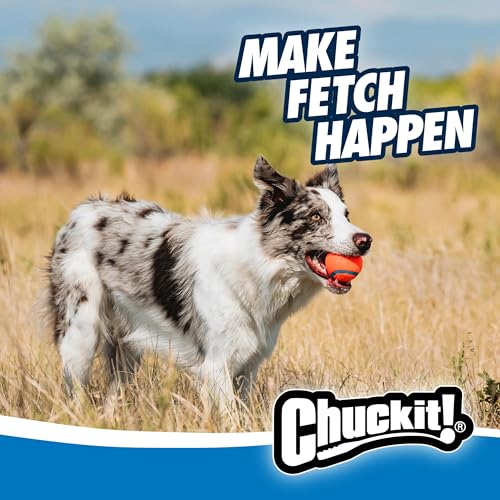 Chuckit! Ultra Dog Ball & Launcher Bundle Classic 26M 26" Length with 2 Pack Medium (2.5") Bouncy Fetch Balls for Dogs 20-...