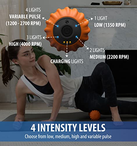 Zyllion Vibrating Peanut Massage Ball with 4 Modes - Cordless Rechargeable Electric Deep Tissue Massager Roller for Muscle...