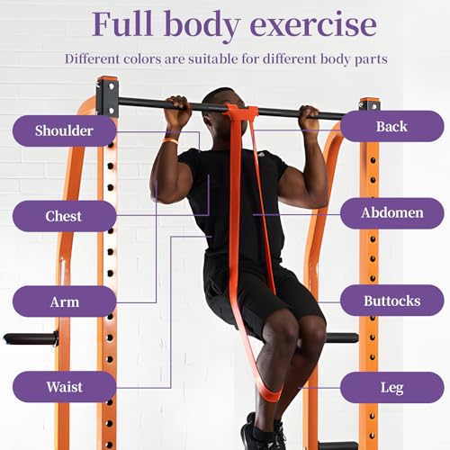 Resistance Bands for Working Out, Pull Up Assistance Bands, Exercise Workout Bands for Men & Women, Gym Bands with Door An...