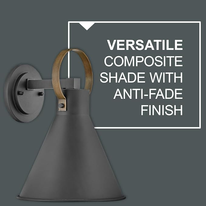 Hinkley Winnie Medium Wall Mount Outdoor Lantern - Coastal Elements, Dark Sky, 1-Light, Tapered Design, Bulb Included, Composite Material - Museum Black with Brass Accents