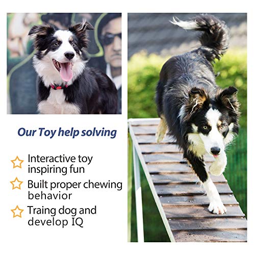 Fida Dog Rope Toys 4 Pack, Puppy Teething Sturdy Cotton Chew Tug Ropes Indoor/Outdoor, Exercise Interactive Tug O'War Toys...