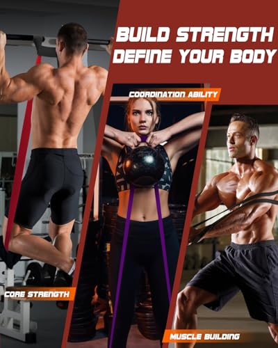 Fitense Resistance Bands Set - Pull Up Bands for Men Women, Exercise Bands Resistance with Door Anchor, Training Poster & ...