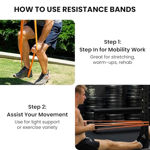 Functional Fitness Pull Up Bands Resistance Bands | Exercise Bands for Working Out | Long Stretch Bands for Exercise, Trai...