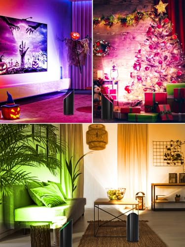 ZUCKEO RGB Spotlight Indoor Uplights 5W Floor Can Light Up Accent Lighting, LED Color Changing Spot Lights for Home Plant ...