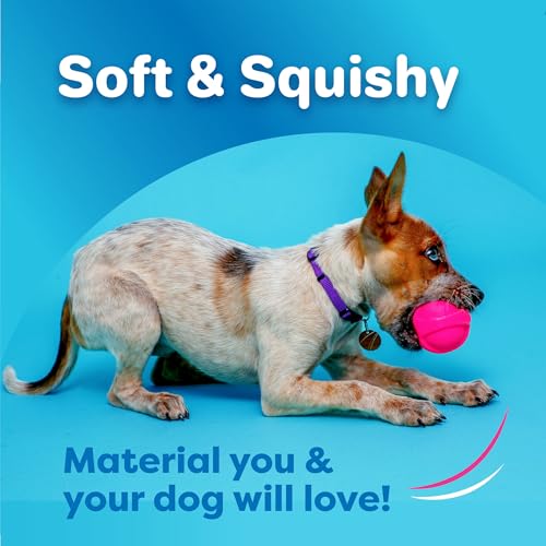 Hartz DuraPlay Ball Squeaky Latex Dog Toy, Neon Green, Neon Pink & Neon Orange, Large 3 Count Pack