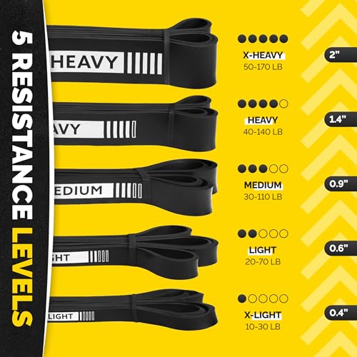Long Resistance Bands for Working Out Men and Women - Set of 5 Pull-Up Bands, Rubber Handles and Door Anchor - Workout Ban...