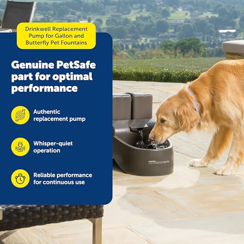 PetSafe Drinkwell Replacement Pump - Reliable OEM Replacement - Drinkwell Pump Accessory - Includes Power Adaptor - Silent...