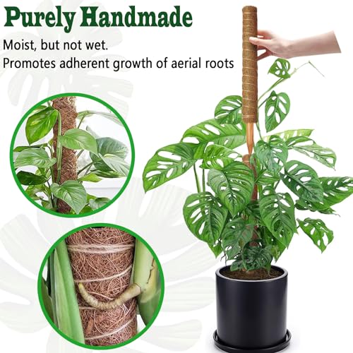 4 Pack 22 Inch Moss Poles, Stackable Moss Pole for Plants Monstera, 70 Inch Tall Moss Poles for Climbing Plants Indoor, Co...