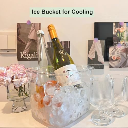 Yamteck Portable Ice Bucket with Lid & Tong for Outdoor Camping, Clear Plastic Storage Bin for Freezer, Refrigerator, Whis...