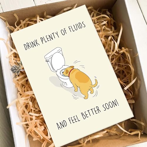 Humorous Get Well Soon Card from Dog, Funny Encouragement Card for Family Friend, Humor Speedy Surgery Recovery Gift for D...