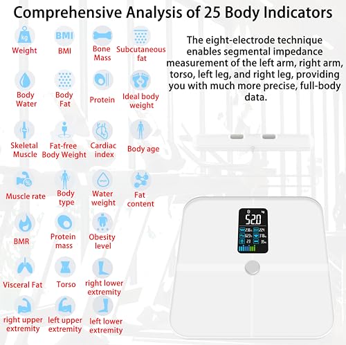 VITSOL 8 Electrode Smart Body Fat Scale, Scales for Body Weight and Fat, Large Display BMI Digital Weight Scale, Compositi...
