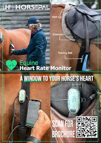 HORSEPAL Horse Heart Rate Monitor Full HR Training Kit