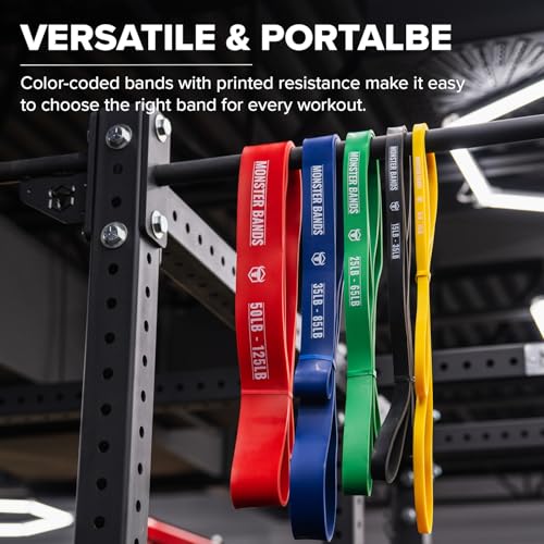 Pull Up Bands, Resistance Bands (Set of 5) – Pull Up Assistance Bands Set – Exercise Workout Bands for Working Out, Streng...
