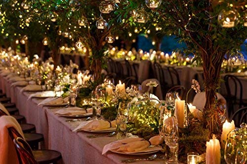 Dailyart 6Ft 120 Led Green Copper Wire Fairy Lights - Waterproof Battery Operated String Lights For Garden, Wedding, Party, Xmas