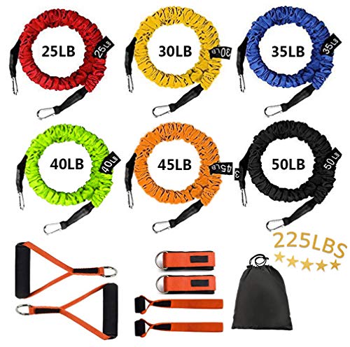 Sunsign Resistance Band with Handle, Exercise Bands with Handles, Ideal for Strength Training, Muscle Toning, Physical The...
