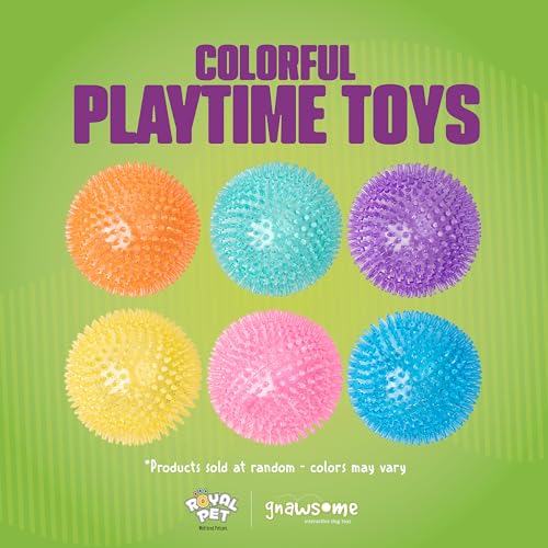 Gnawsome Medium Squeaker Ball Dog Toy, Medium 3.5", Colors will vary, All Breed Sizes