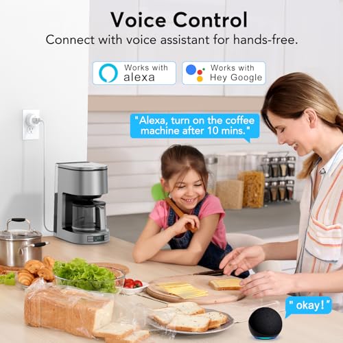 EIGHTREE Smart Plug, WiFi Outlet Works with Alexa & Google Home, Smart Home Socket with Remote Control & Timer Function, ...