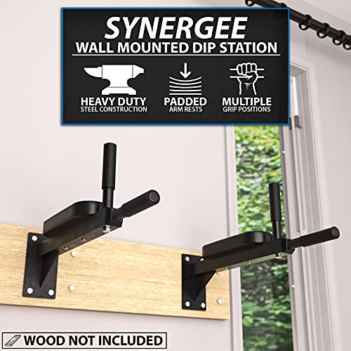 Synergee Wall Mounted Dip Station. Dip Bars for L Sits, Knee Raises, and More! Gymnastics and Upper Body Fitness Training....