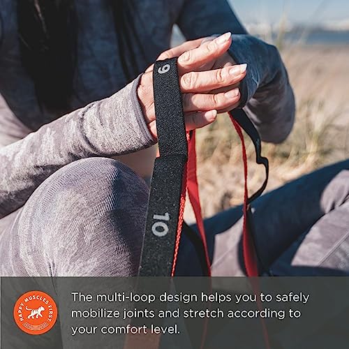 Tiger Tail The Stretchy Tiger 80” - Stretch/Yoga Strap with 10 Numbered Loops for Yoga, Physical Therapy, Pilates, & Exerc...
