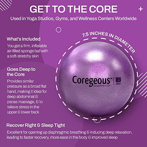 Tune Up Fitness – Coregeous Ball | Psoas Release Tool, Abdominal, Belly & Lower Back Release | Core Ball, Exercise Ball fo...