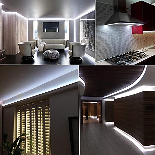SURNIE Rope Lights Outdoor Waterproof Daylight White: LED 50FT Cuttable Outside Bright 110V Lighting Connectable Flexible ...