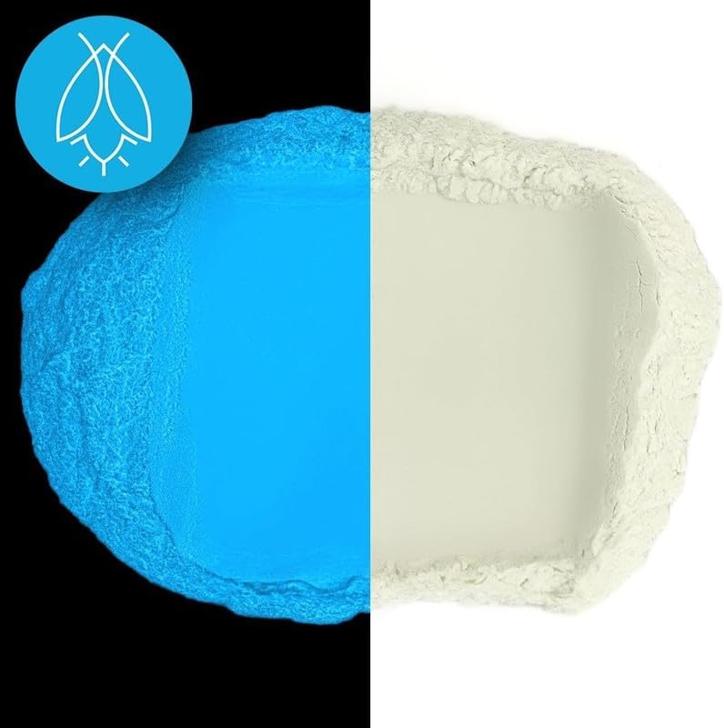 Glow in The Dark Pigment Powder - Neutral and Fluorescent Color for Art Painting, Fine Art, Nail Art Paint, and DIY Crafts - Long Lasting 10+ Color Options - Neutral Sky Blue - (1 Kilogram)