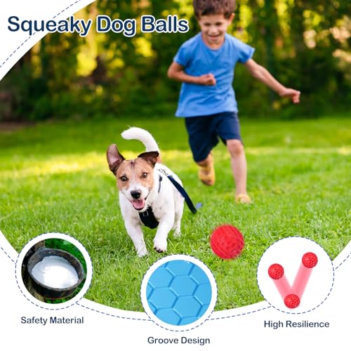 CHEODIN 2 Pack Indestructible Squeaky Dog Balls for Aggressive Chewers, Interactive Dog Toys for Teething, Relieving Anxie...