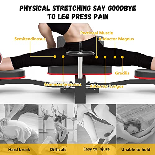 Rigel Leg Stretcher, 220LBS Leg Stretch Machine, Heavy Duty Steel Frame Equipment Splits Machine, Leg Stretching Training ...