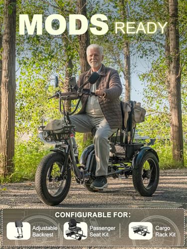 Folding Electric Tricycle for Adults 2 Seater, 22MPH 100 Miles 4" Wide Fat Tire Electric Trike, 3 Wheel Electric Bike 1200...