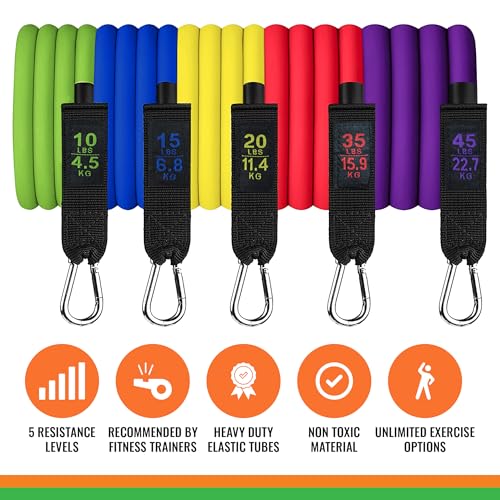 SmarterLife Resistance Bands with Handles, Physical Therapy Strap, Exercise Band to Tone Arms, Legs, Chest, Booty - 5 Exer...